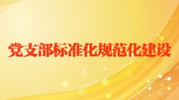 党支部标准化规范化建设